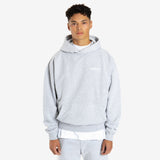 Essential Aesthetics Hoodie - Light Marl Grey - Destructive