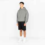 Hoodie - Fossil Grey - Destructive